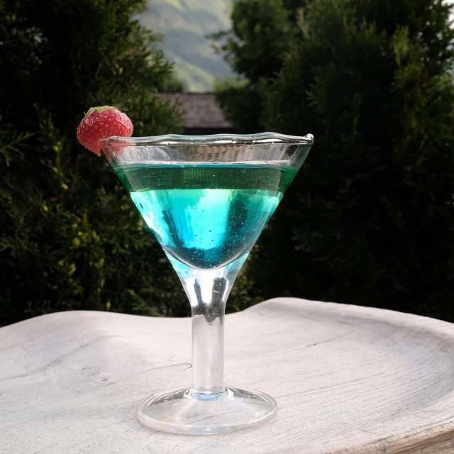 Bar & Lounge Hotel Eden Les Praz Chamonix