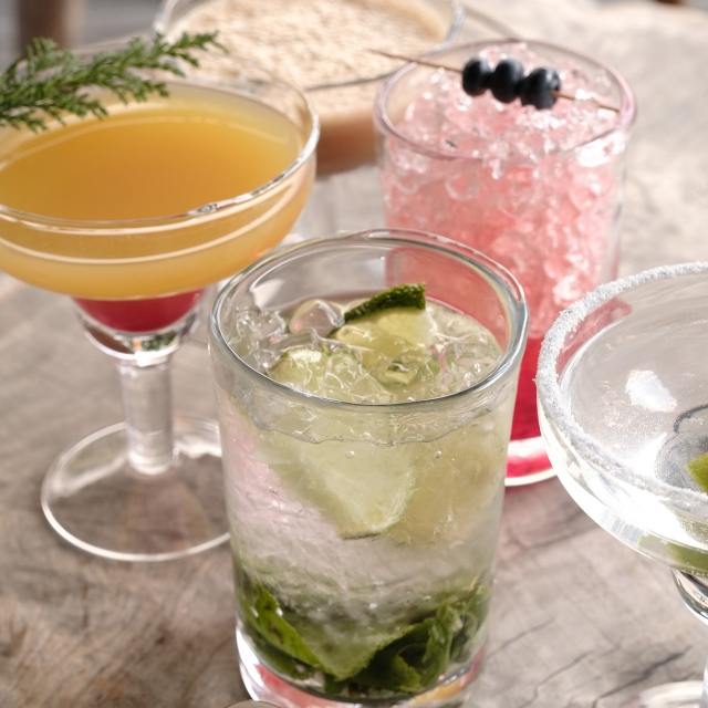 Bar & Lounge Hotel Eden Les Praz Chamonix